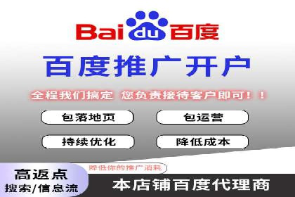 百度竞价SEM成功案例：揭秘广告投放秘诀
